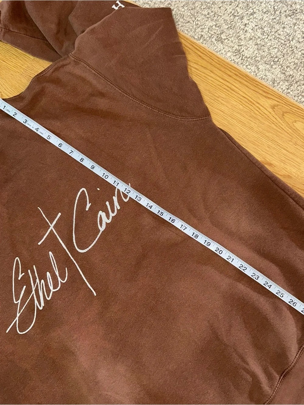 Ethel Cain Preachers Daughter Album Exclusive Hoodie - Picture 7 of 8